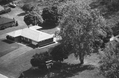 082-dfr-17
