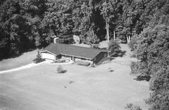 019-dha-03