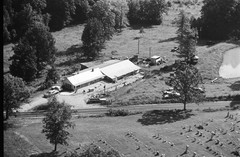 019-dha-13