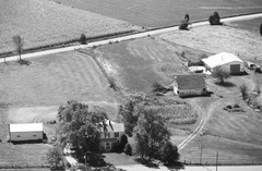 008-njo-13