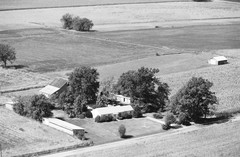 008-njo-29