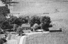 008-njo-30