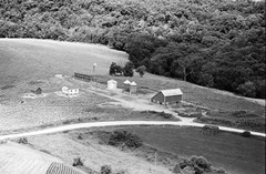 024-pal-06