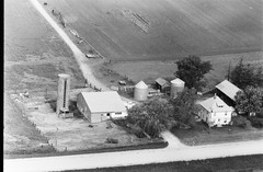 006-pli-08