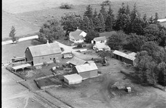 006-pli-13