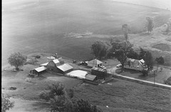 006-pli-15