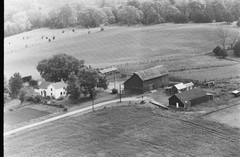 006-pli-17