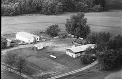 006-pli-19
