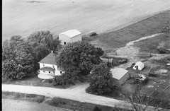 006-pli-20