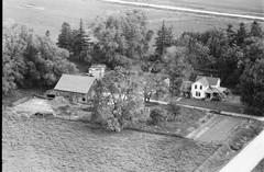 006-pli-36