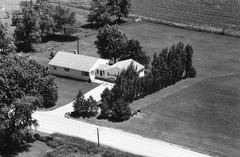 072-pli-31