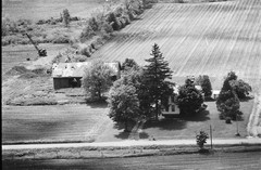 025-nhi-31