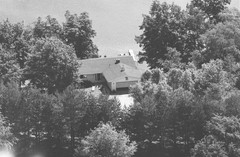 031-nhi-01