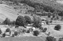 001-ebo-29