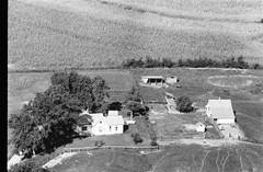 007-mli-19
