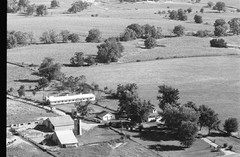 007-mli-27