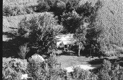 007-mli-31