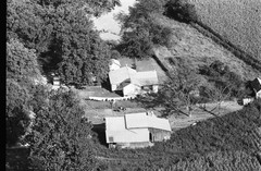 029-mpi-19
