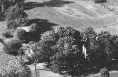 001-zde-15