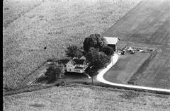 010-ser-08