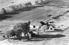 021-dlo-36