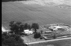 001-nlu-31
