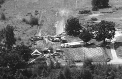 002-nlu-26