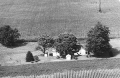 002-nlu-29