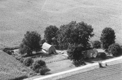 002-nlu-31