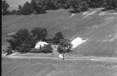 003-nlu-05