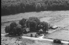 003-nlu-19