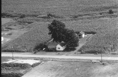 003-nlu-36