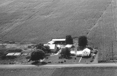 004-nlu-05