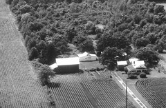 004-nlu-11