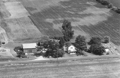 004-nlu-13