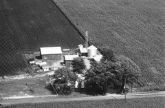004-nlu-20