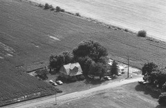 004-nlu-25