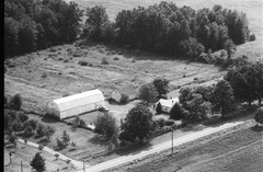 005-nlu-12