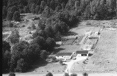 005-nlu-19