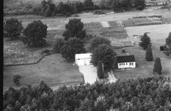 005-nlu-20