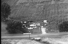 005-nlu-21