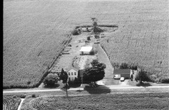 005-nlu-29