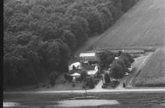 005-nlu-31