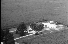 005-nlu-35