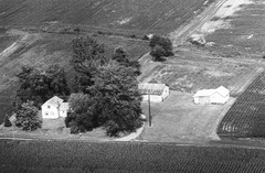 006-nlu-06