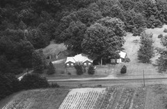 006-nlu-07