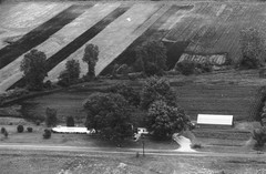 006-nlu-10