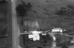 006-nlu-11