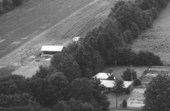 006-nlu-15