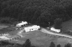 006-nlu-18